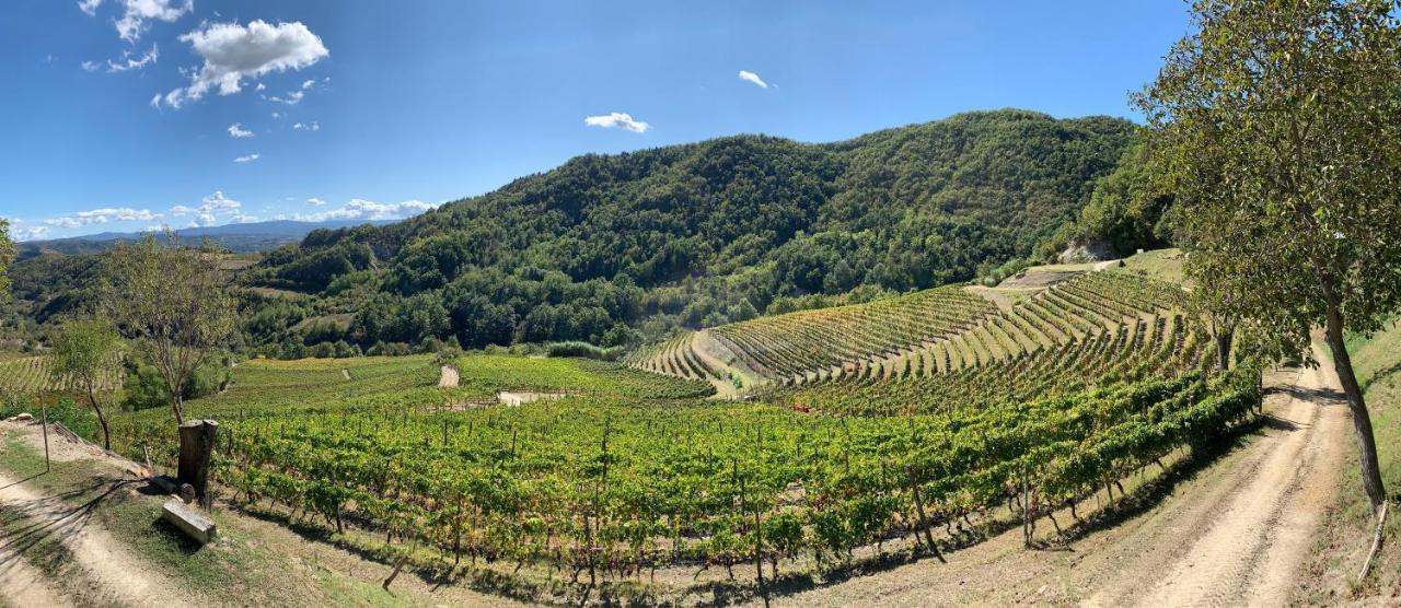 Cascina Bertolotto Wine Resort Spigno Monferrato Екстериор снимка