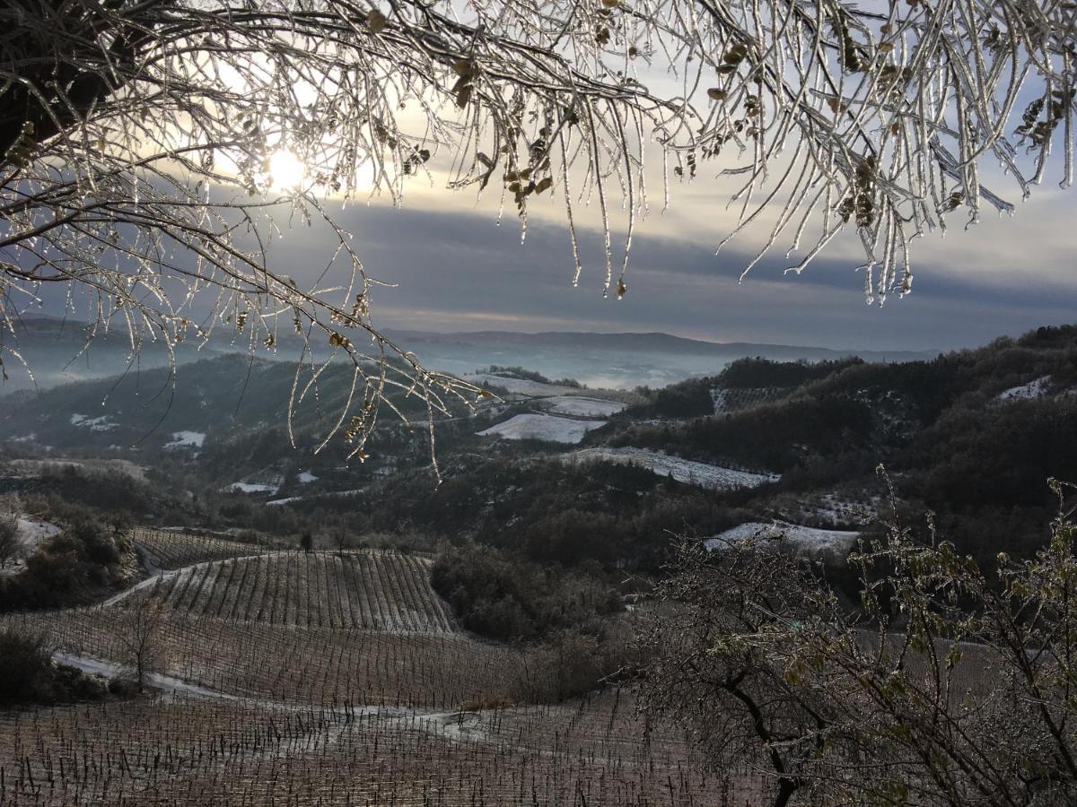Cascina Bertolotto Wine Resort Spigno Monferrato Екстериор снимка