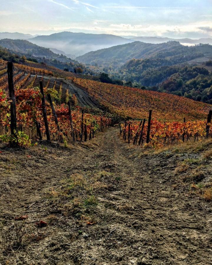 Cascina Bertolotto Wine Resort Spigno Monferrato Екстериор снимка