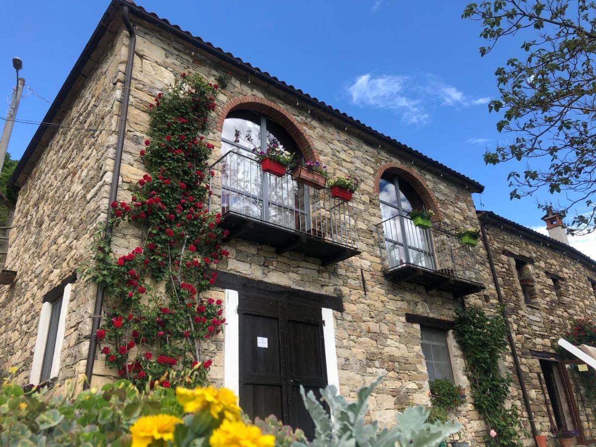 Cascina Bertolotto Wine Resort Spigno Monferrato Екстериор снимка