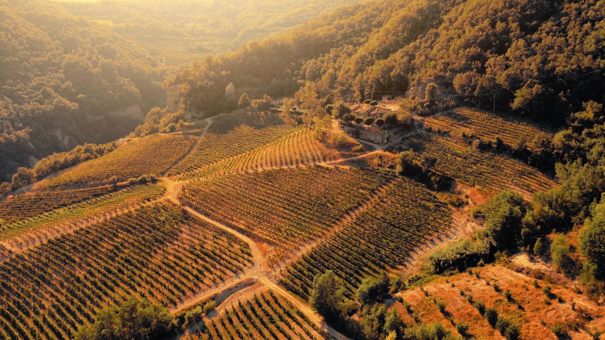 Cascina Bertolotto Wine Resort Spigno Monferrato Екстериор снимка